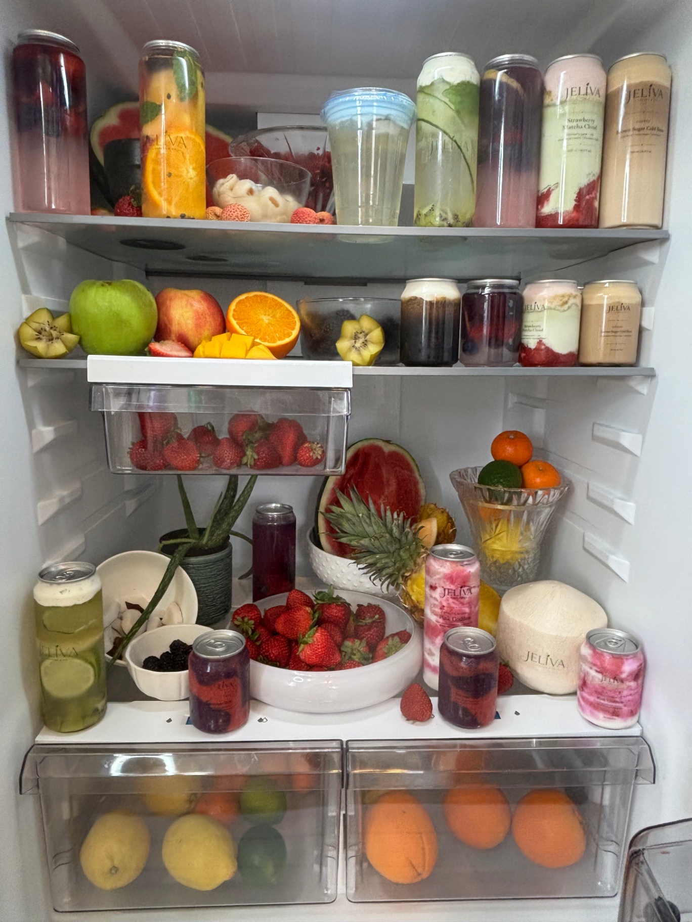 Jeliva collection inside fridge