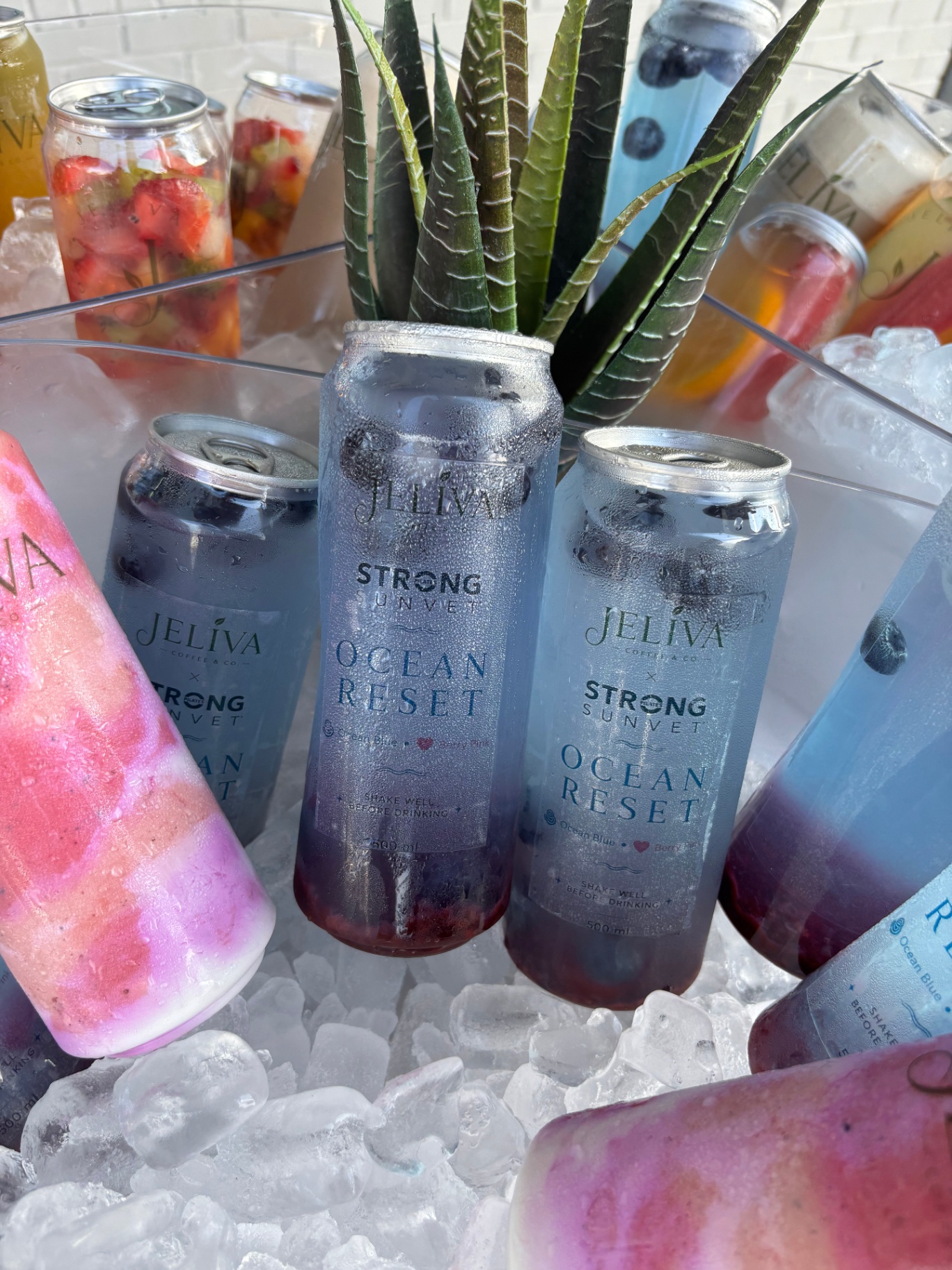 Ocean Reset cans on ice